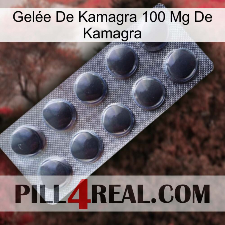 Gelée De Kamagra 100 Mg De Kamagra 30